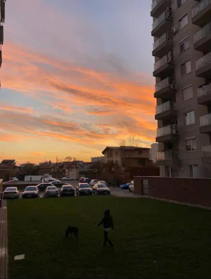 Apartament Rose Garden Colentina Bukareszt Zewnętrze zdjęcie
